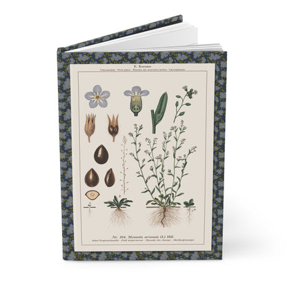 Forget me not journal with Emil Korsmo 1934-1938 botanical weed plates showing Field Forget-me-not Myosotis Small Bugloss - LeBonJournal
