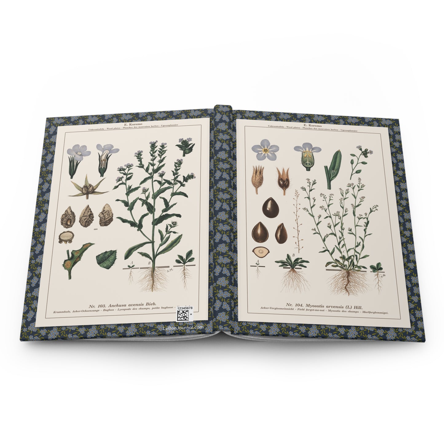 Forget me not hardcover journal spine and full-wrap Emil Korsmo 1934-1938 botanical weed plates educational chart - LeBonJournal
