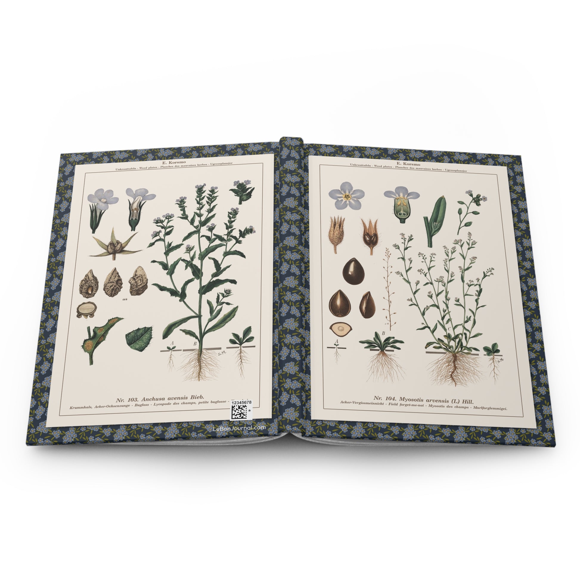 Forget me not hardcover journal spine and full-wrap Emil Korsmo 1934-1938 botanical weed plates educational chart - LeBonJournal
