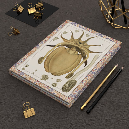 Frederick McCoy 1885-1890 cuttlefish journal on workspace celebrating Victorian natural history and Australian marine biology - LeBonJournal