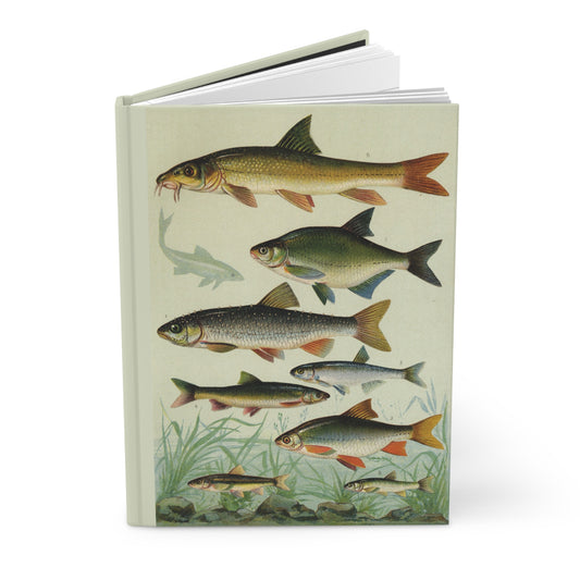 Freshwater fish hardcover journal standing vertically slightly open showing lined pages, European cyprinids and salmonids chromolithograph cover - LeBonJournal