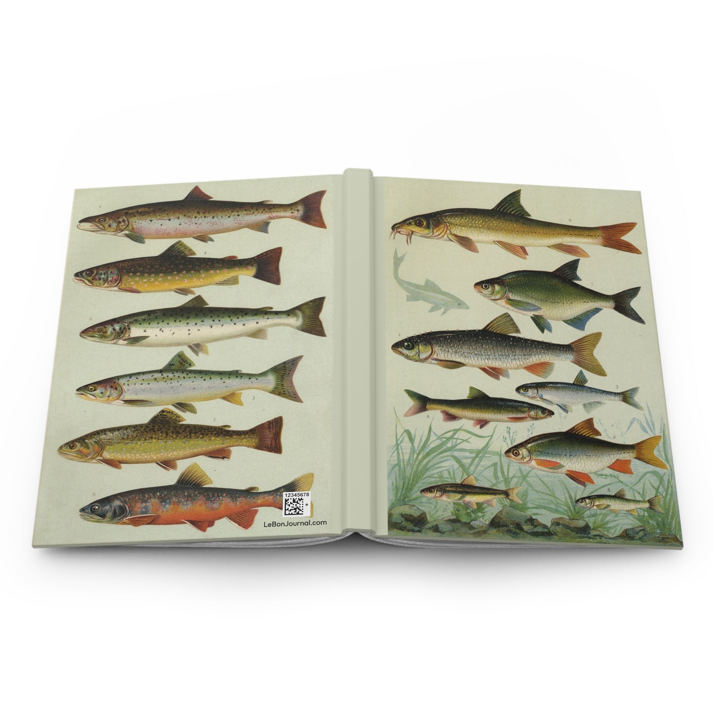 Freshwater fish hardcover journal open showing front and back covers with casewrap sewn spine, Walter 1913 and Our Country's Fishes 1902 - LeBonJournal