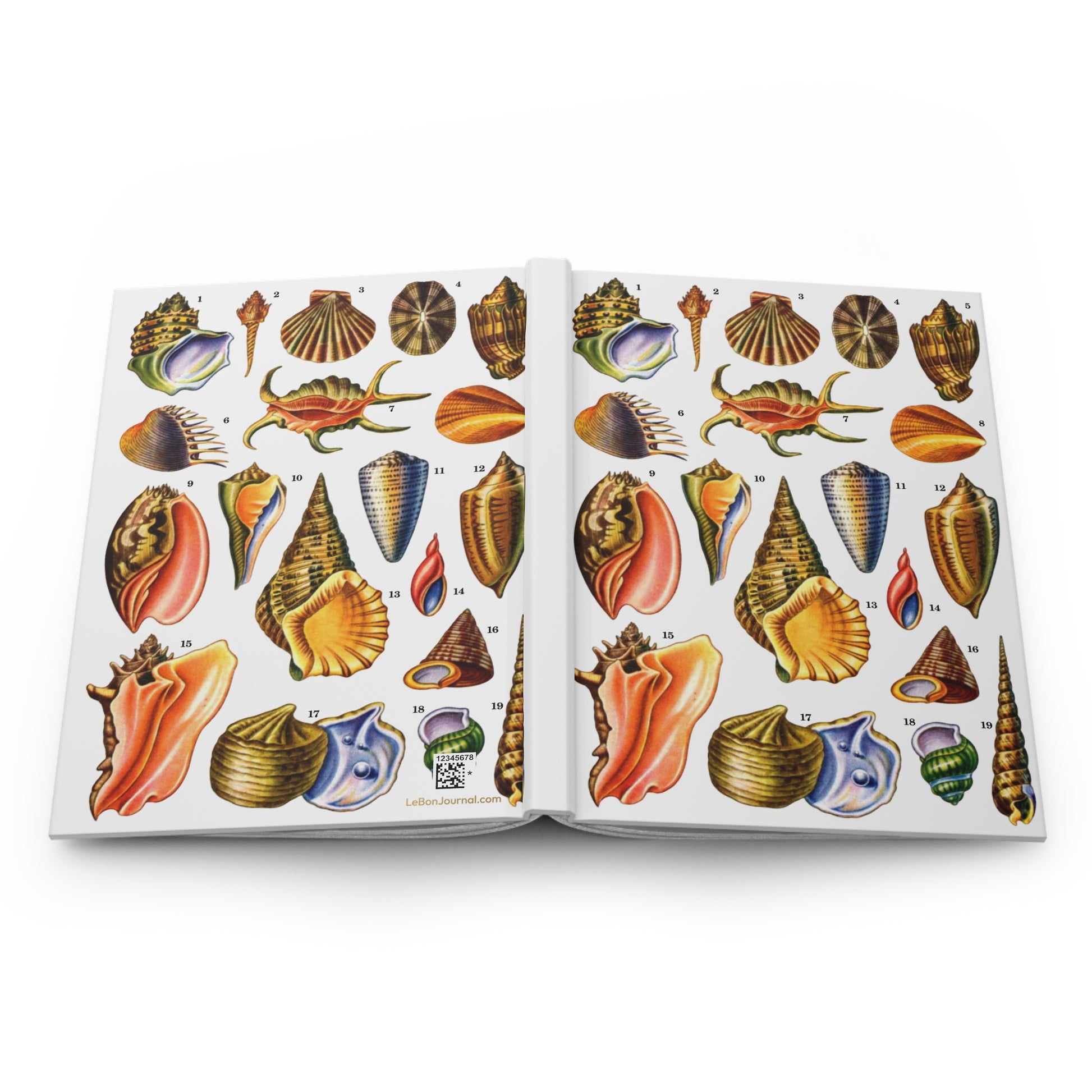 Gastropod hardcover journal spine full-wrap El Tesoro de la Juventud seashell plate white - LeBonJournal
