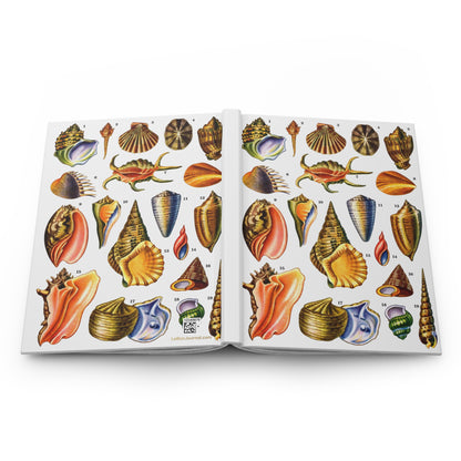 Gastropod hardcover journal spine full-wrap El Tesoro de la Juventud seashell plate white - LeBonJournal
