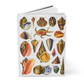 Gastropod journal El Tesoro de la Juventud seashell plate Murex Conus Strombus 19 species white - LeBonJournal
