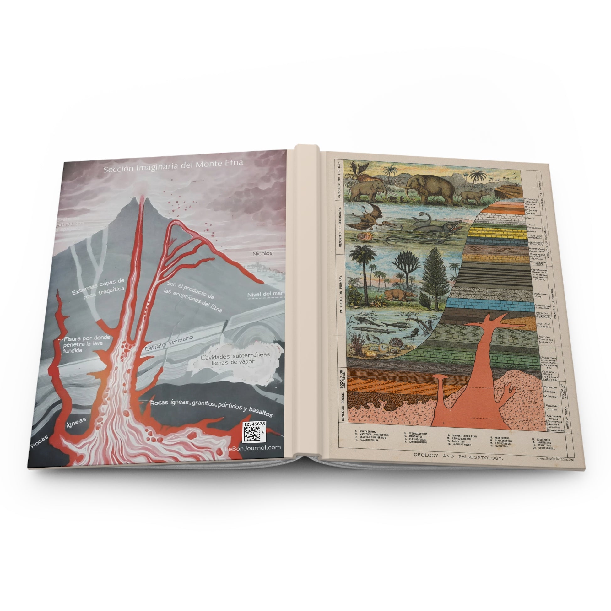 Geology journal open flat showing spine and hard covers with Victorian palaeontology and Mount Etna full-wrap casewrap sewn binding - LeBonJournal