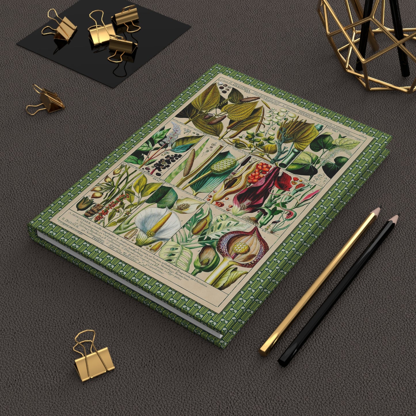 Gessner 1795 Diandria botanical journal on workspace celebrating Enlightenment natural history illustration - LeBonJournal