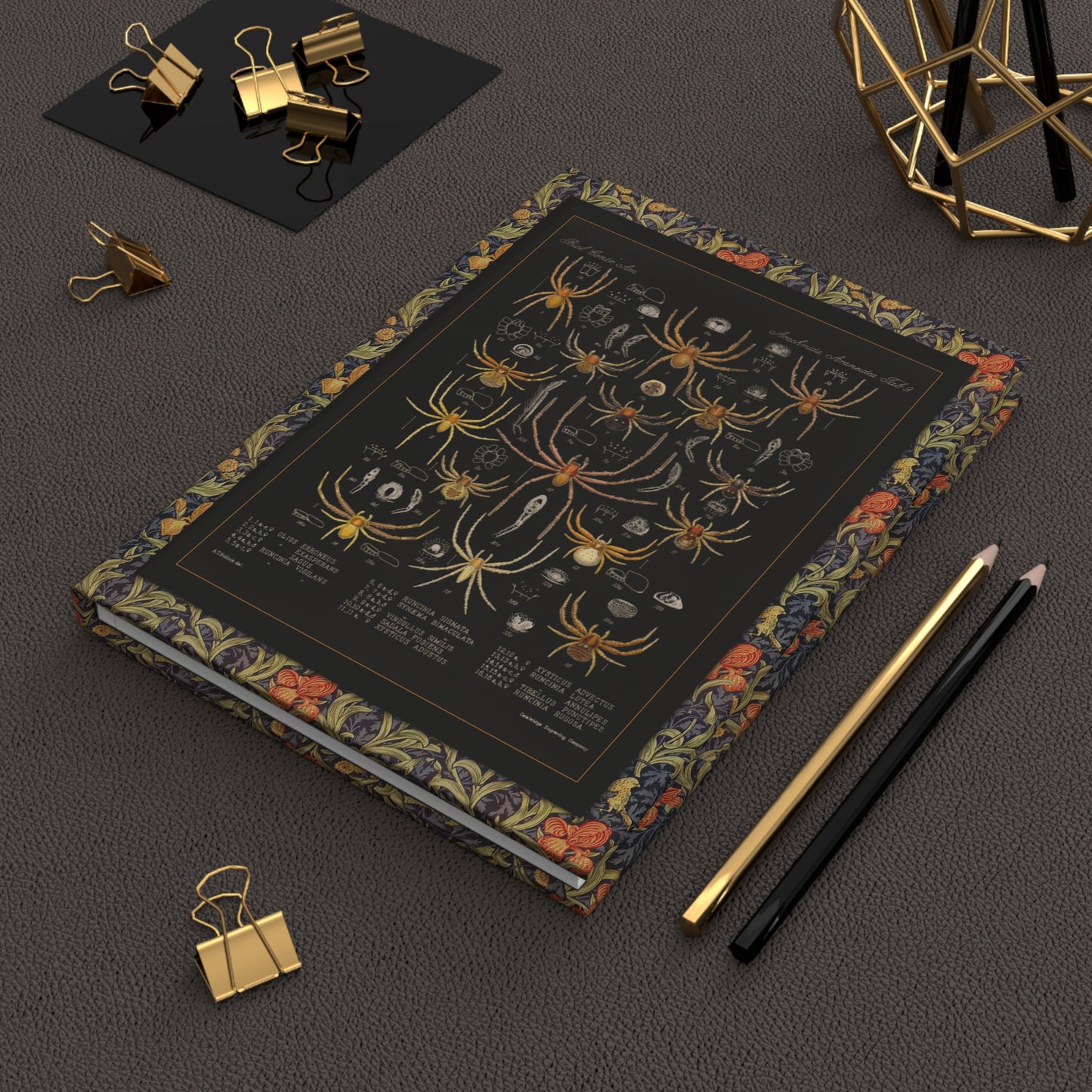 Godman 1879 arachnida spider journal on dark desk with gold binder clips celebrating Victorian natural history - LeBonJournal