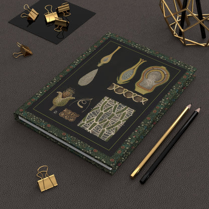 Gottlieb von Koch 1909 sphagnum moss journal on workspace celebrating German botanical education and wetland plant anatomy - LeBonJournal