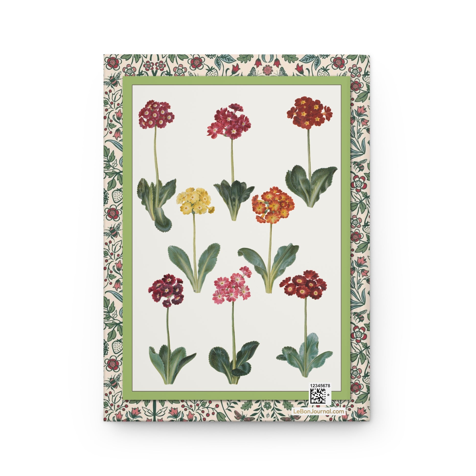 Gottorfer Codex Hans-Simon Holtzbecker c.1649 gouache on vellum eight Primula auricula varieties Gottorf Castle garden back cover - LeBonJournal