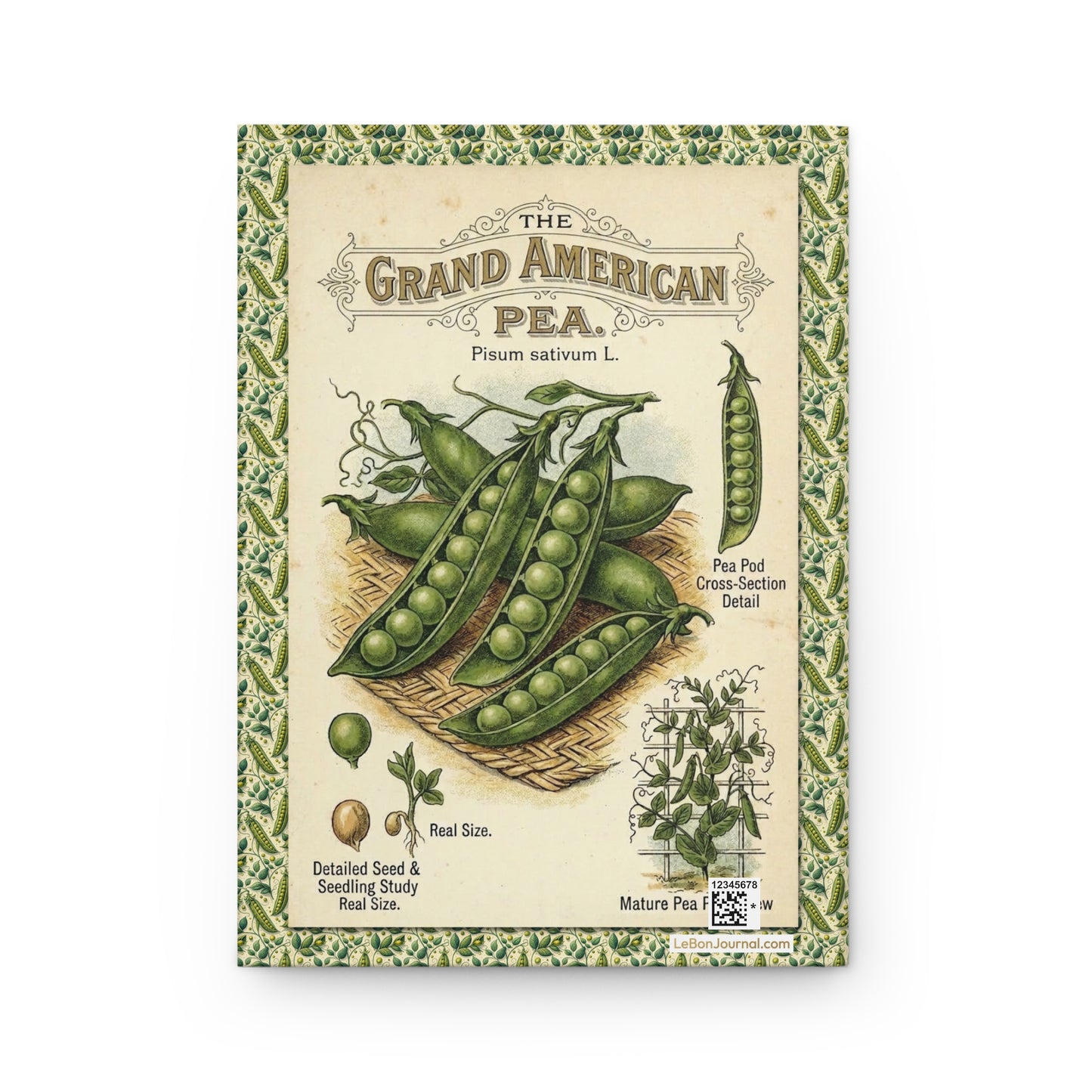 Grand American Pea Pisum sativum back cover vintage botanical lithograph Clark Richmond 1883 - LeBonJournal
