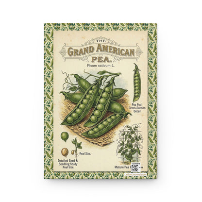 Grand American Pea Pisum sativum back cover vintage botanical lithograph Clark Richmond 1883 - LeBonJournal

