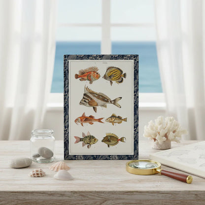 Gustav von Hayek 1887 fish journal with Wielki atlas chromolithograph plates in naturalist's study - LeBonJournal