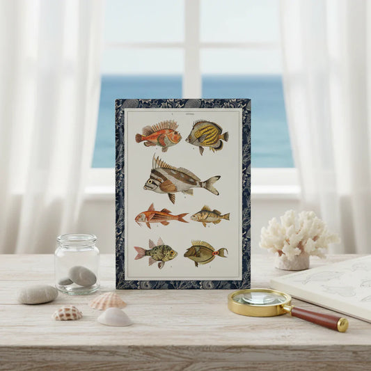 Gustav von Hayek 1887 fish journal with Wielki atlas chromolithograph plates in naturalist's study - LeBonJournal