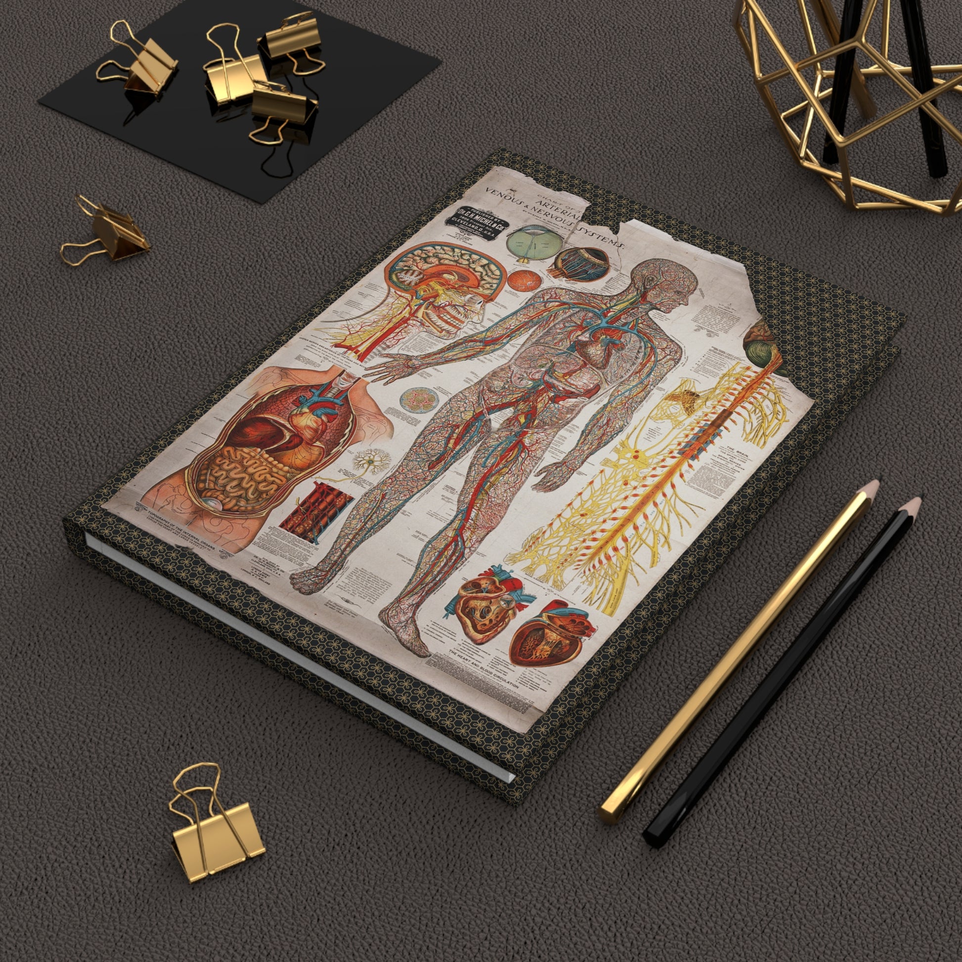 Gustave Michel 1910 anatomy journal on workspace celebrating medical education lithographic charts - LeBonJournal