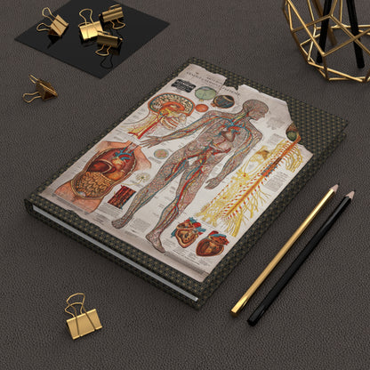 Gustave Michel 1910 anatomy journal on workspace celebrating medical education lithographic charts - LeBonJournal