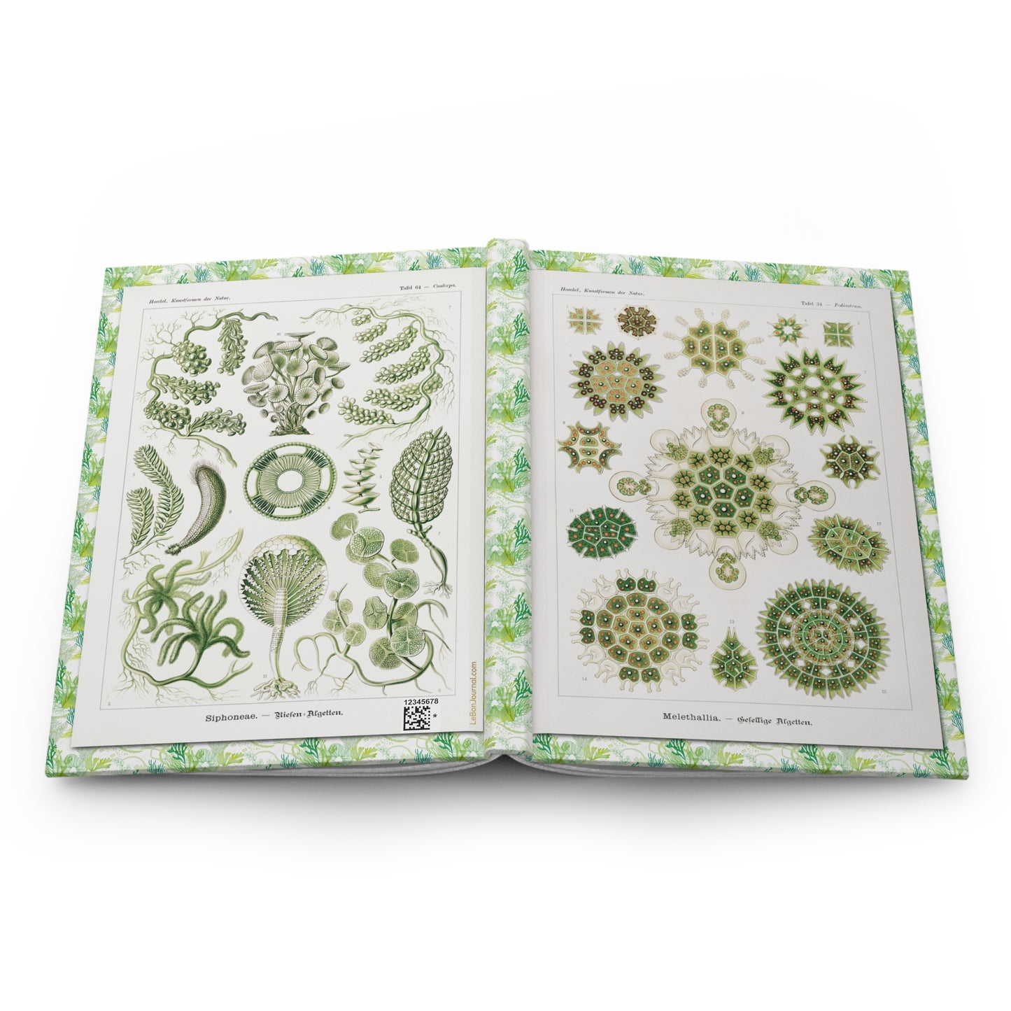 Ernst Haeckel 1904 algae hardcover journal open showing front and back covers with casewrap sewn spine, Kunstformen der Natur - LeBonJournal