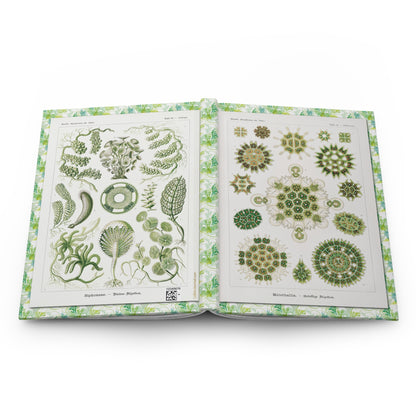 Ernst Haeckel 1904 algae hardcover journal open showing front and back covers with casewrap sewn spine, Kunstformen der Natur - LeBonJournal