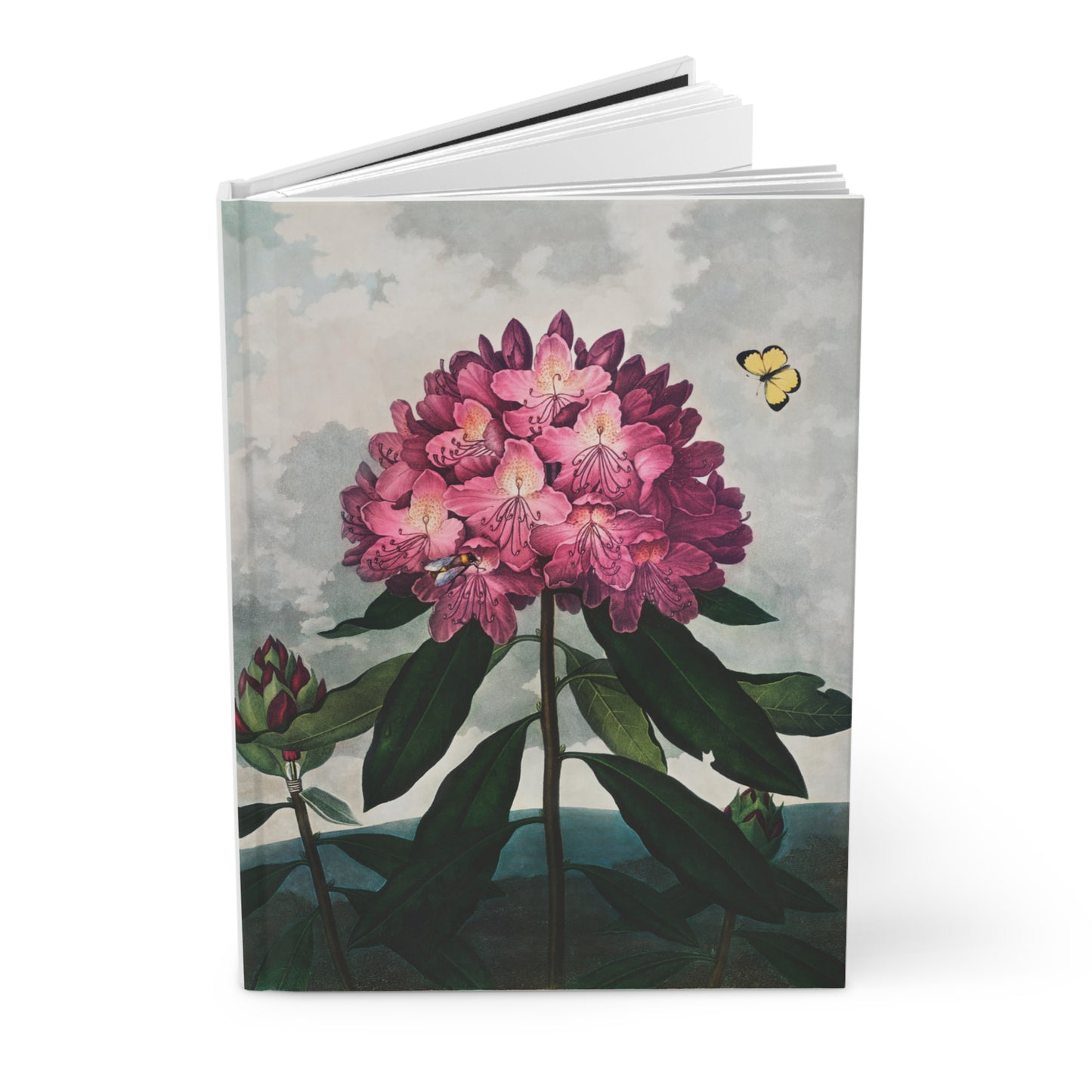 Temple of Flora Rhododendron Journal Front Cover — Thornton 1807 - LeBonJournal