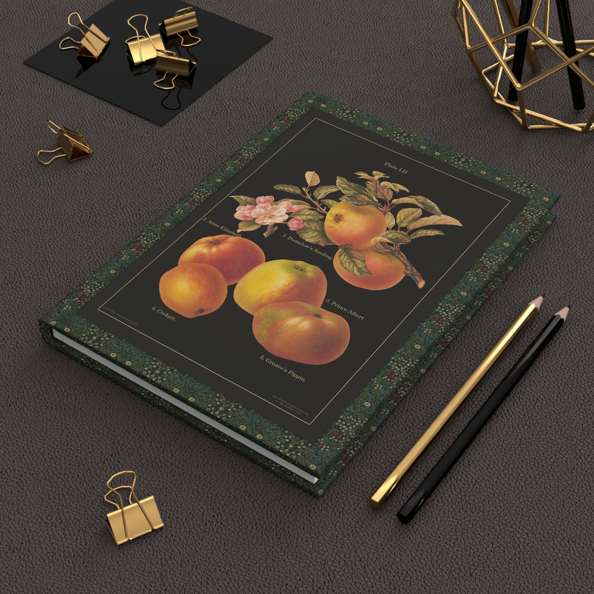 Herefordshire Pomona 1885 apple journal on workspace celebrating Victorian pomology Alice Ellis - LeBonJournal
