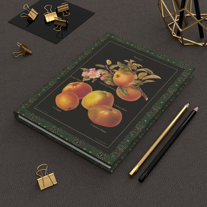 Herefordshire Pomona 1885 apple journal on workspace celebrating Victorian pomology Alice Ellis - LeBonJournal
