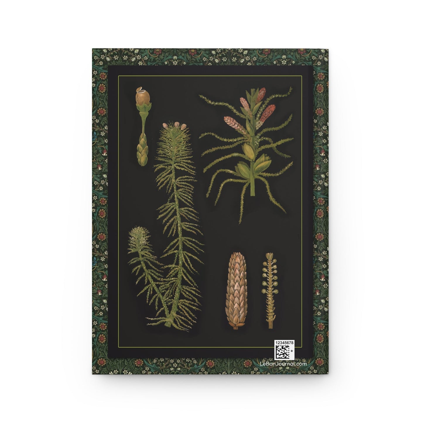 Hippuris vulgaris Mare's-tail back cover from Gottlieb von Koch 1909 Jung-Koch-Quentell showing aquatic plant radial whorls - LeBonJournal