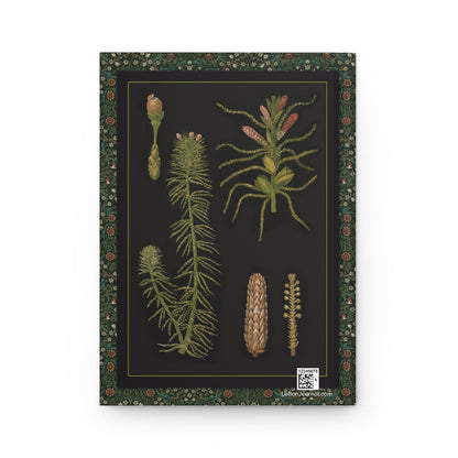 Hippuris vulgaris Mare's-tail back cover from Gottlieb von Koch 1909 Jung-Koch-Quentell showing aquatic plant radial whorls - LeBonJournal