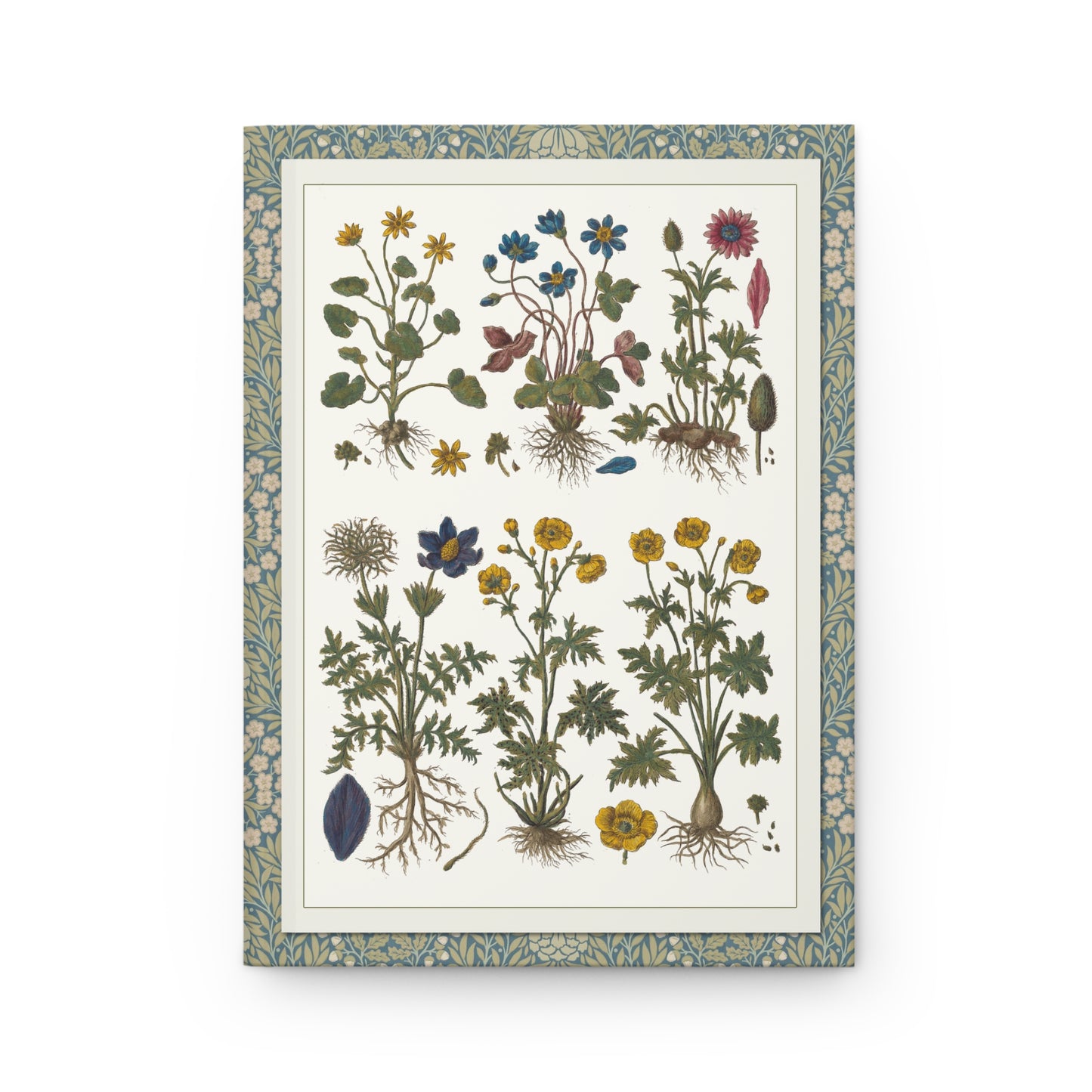 Historia Botanica Practica front cover with delicate botanical specimens in Prussian blue ornate borders by Gianbattista Morandi, Milan 1744 - LeBonJournal