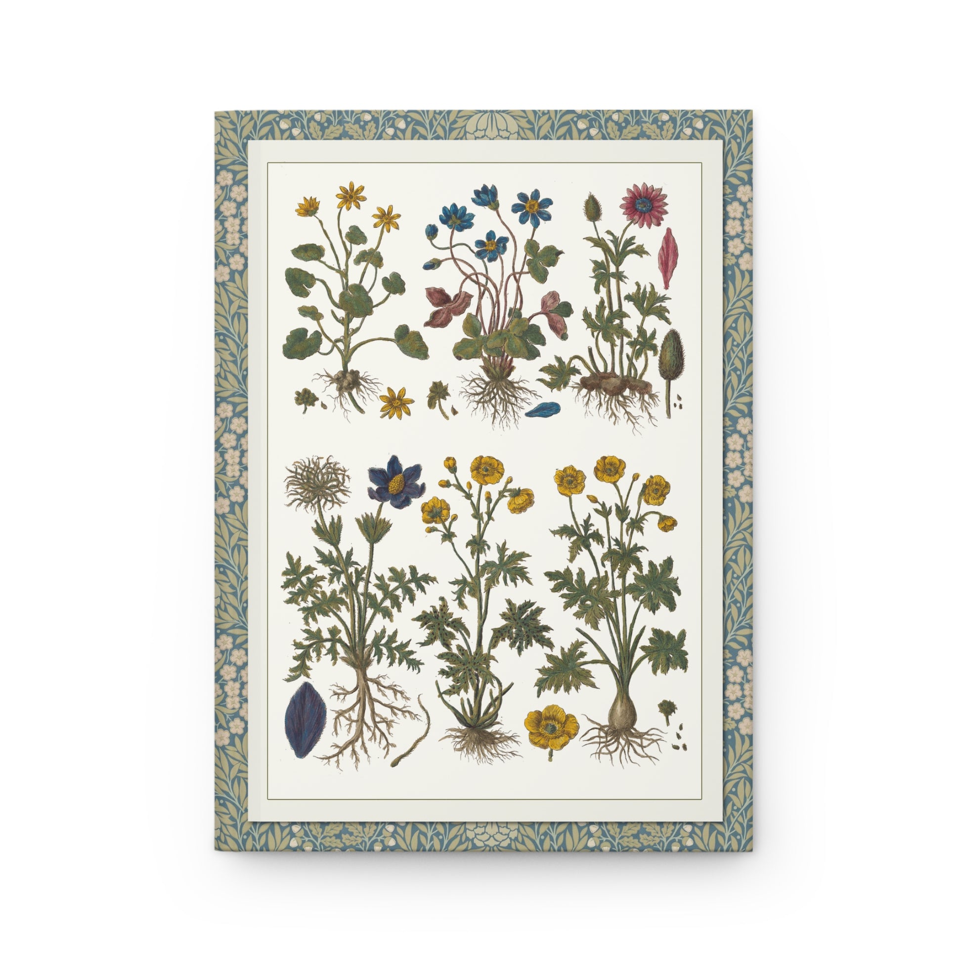 Historia Botanica Practica front cover with delicate botanical specimens in Prussian blue ornate borders by Gianbattista Morandi, Milan 1744 - LeBonJournal