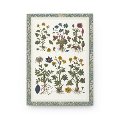 Historia Botanica Practica front cover with delicate botanical specimens in Prussian blue ornate borders by Gianbattista Morandi, Milan 1744 - LeBonJournal