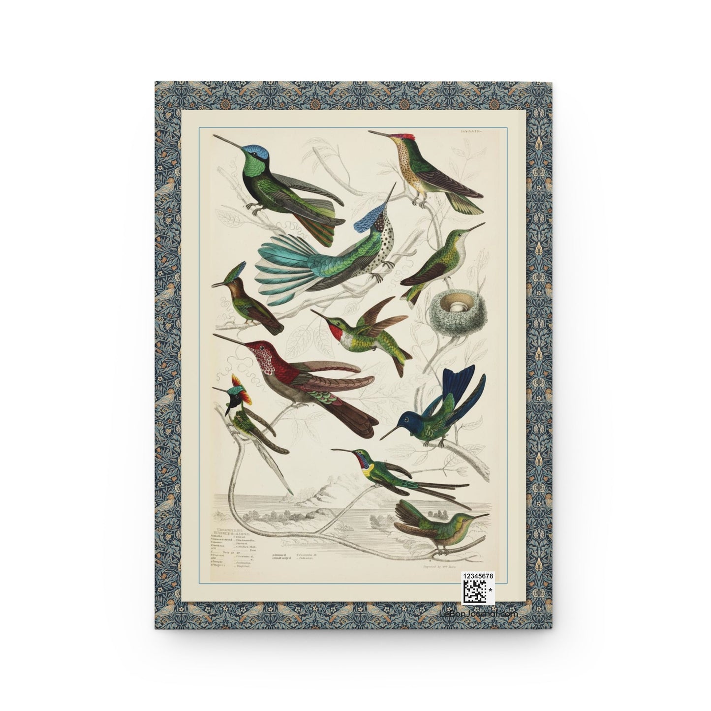 Back cover of Hummingbird journal featuring William Davis 1835 Trochilus hummingbird illustrations from Edinburgh Journal of Natural History with copper engravings - LeBonJournal