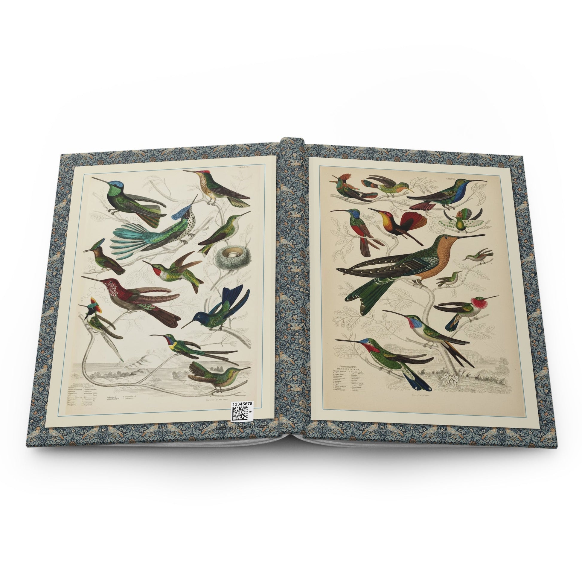 Open Hummingbird journal showing durable casewrap binding, hardcover construction with John Gould 1849 and William Davis 1835 hummingbird illustrations on front and back covers, and flexible spine for lay-flat writing - LeBonJournal
