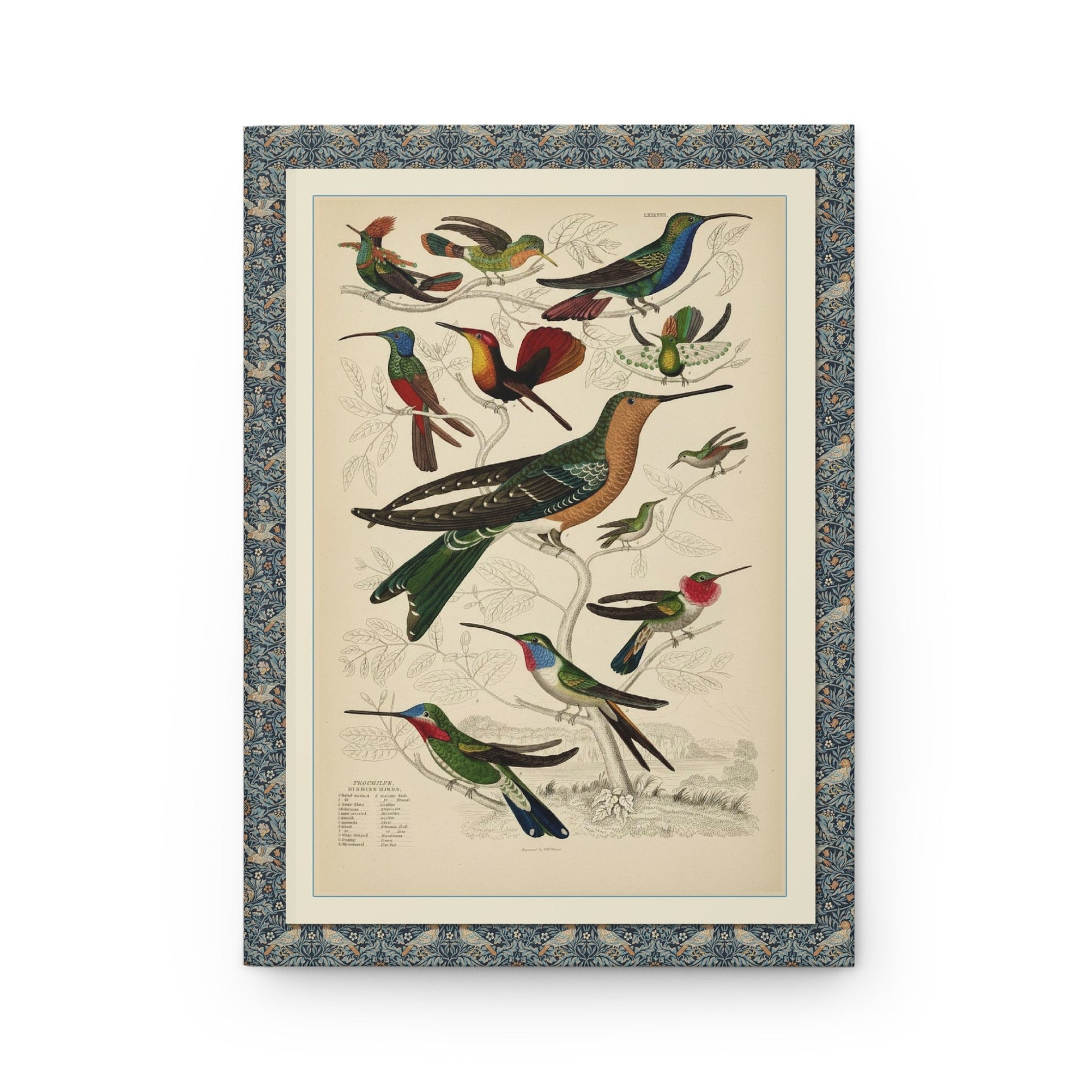 Front cover of Hummingbird journal featuring John Gould and Henry Constantine Richter 1849 hand-colored lithographs with iridescent hummingbird species on premium matte hardcover - LeBonJournal