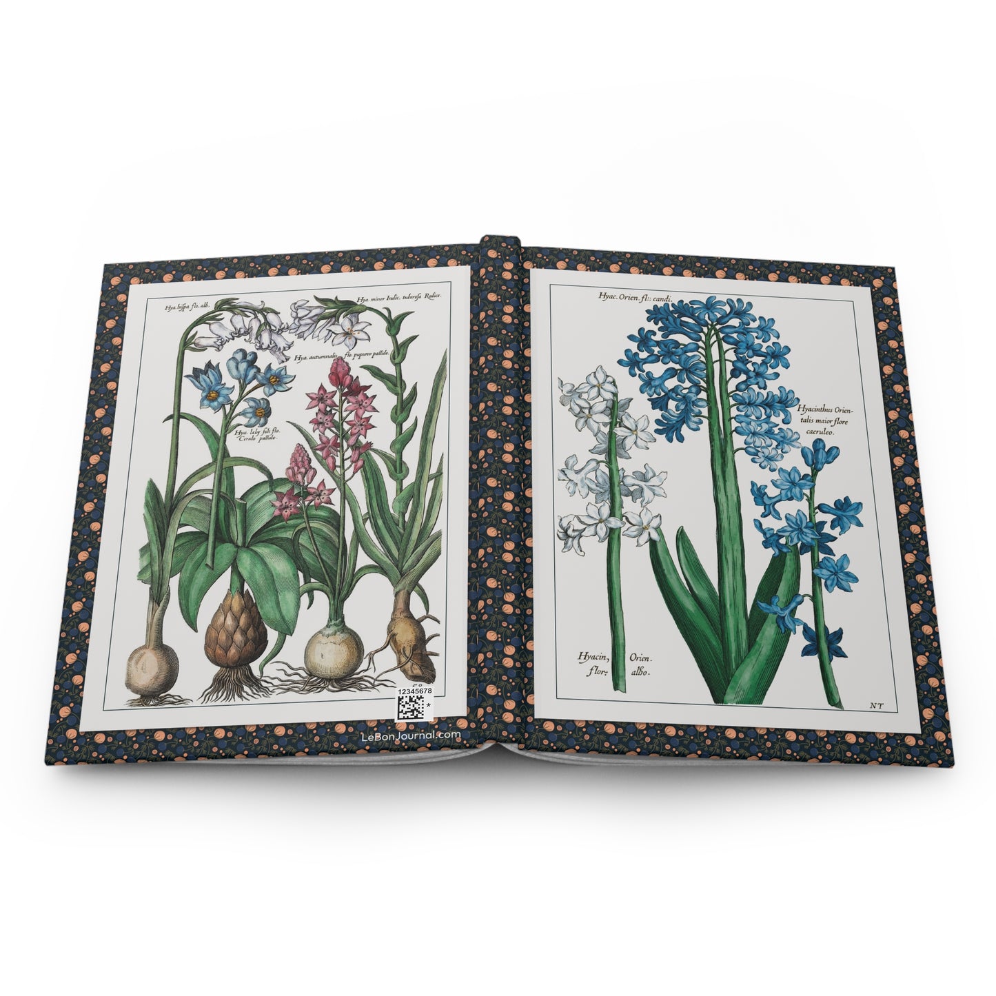 Hyacinth hardcover journal spine and full-wrap Johann Theodor de Bry 1611 Florilegium Novum botanical engraving - LeBonJournal