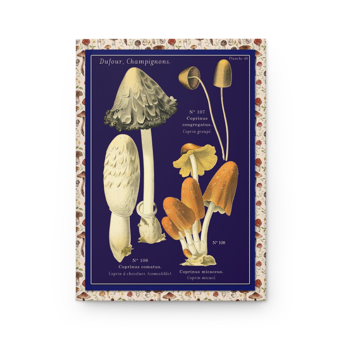 Ink cap mushrooms front cover Coprinus comatus Shaggy Mane Mica Cap navy background - LeBonJournal
