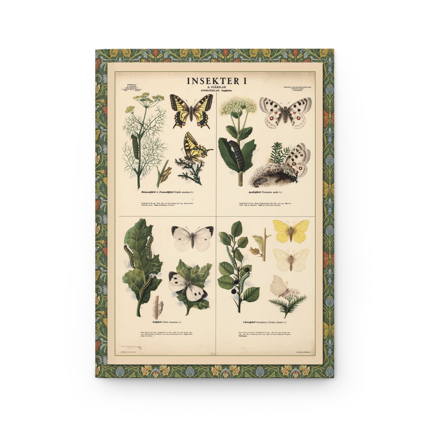 Insekter I Fjärilar front cover by Max Richter 1939 featuring four Swedish butterfly species with caterpillar chrysalis and adult stages - LeBonJournal