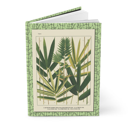 Japanese bamboo journal with Shirasawa Makino 1912 Nihon Chikurui Zufu Arundinaria variabilis Tabs 6 and 7 - LeBonJournal
