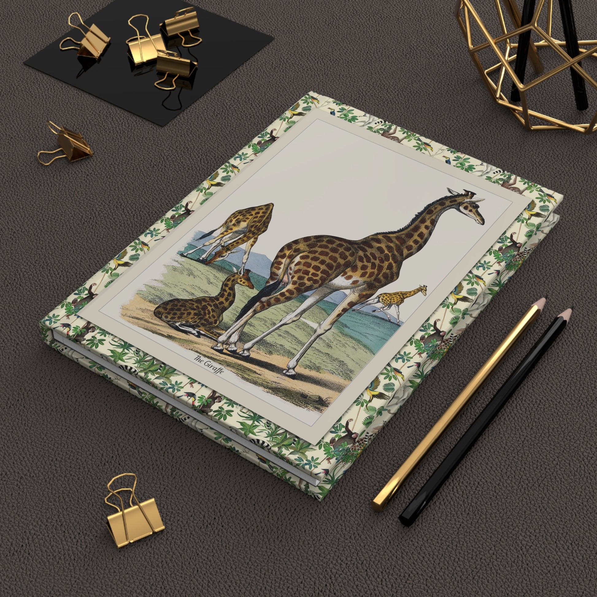 Jemima Blackburn 1859 safari journal on workspace celebrating Victorian natural history wildlife - LeBonJournal
