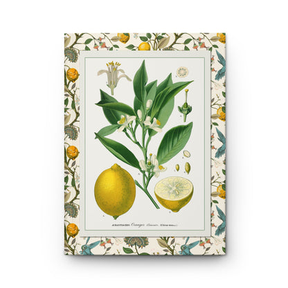 Lemon blank journal front cover with Köhler 1887 Citrus medica chromolithograph lemon branch flower and cross-section on cream citrus botanical border - LeBonJournal