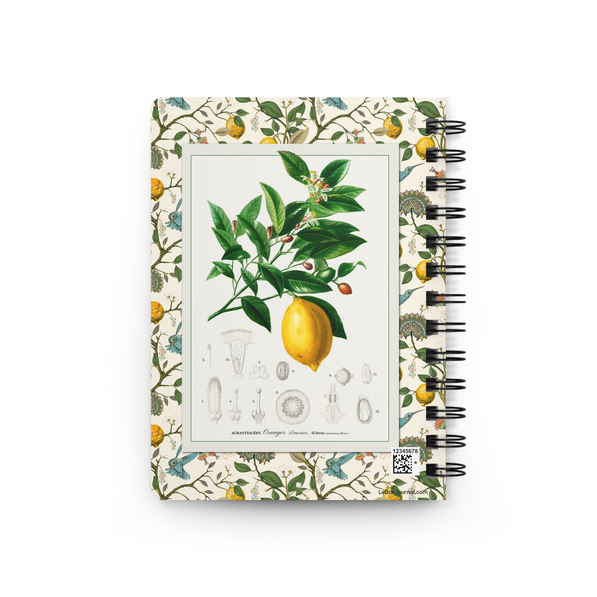 Lemon spiral journal back cover with Köhler 1887 Citrus medica lemon branch flower and cross-section on cream citrus hummingbird botanical border - LeBonJournal