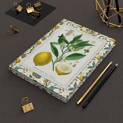 Köhler d'Orbigny lemon blank journal lying flat on dark desk with gold binder clips and pencil - LeBonJournal