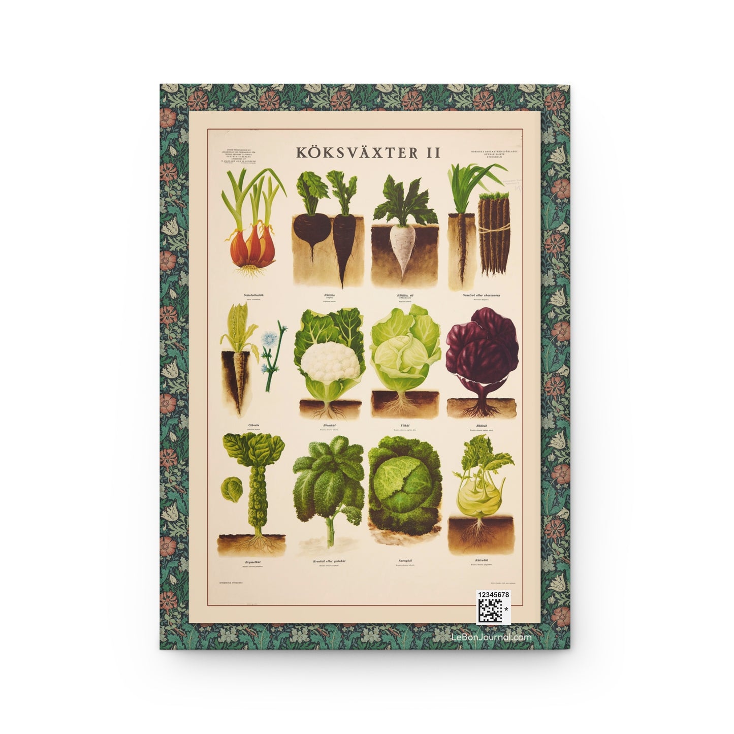 Köksväxter II back cover by Max Richter 1936 showing Brassicaceae family vegetables cauliflower cabbage Brussels sprouts kale and kohlrabi from Norstedt Stockholm - LeBonJournal
