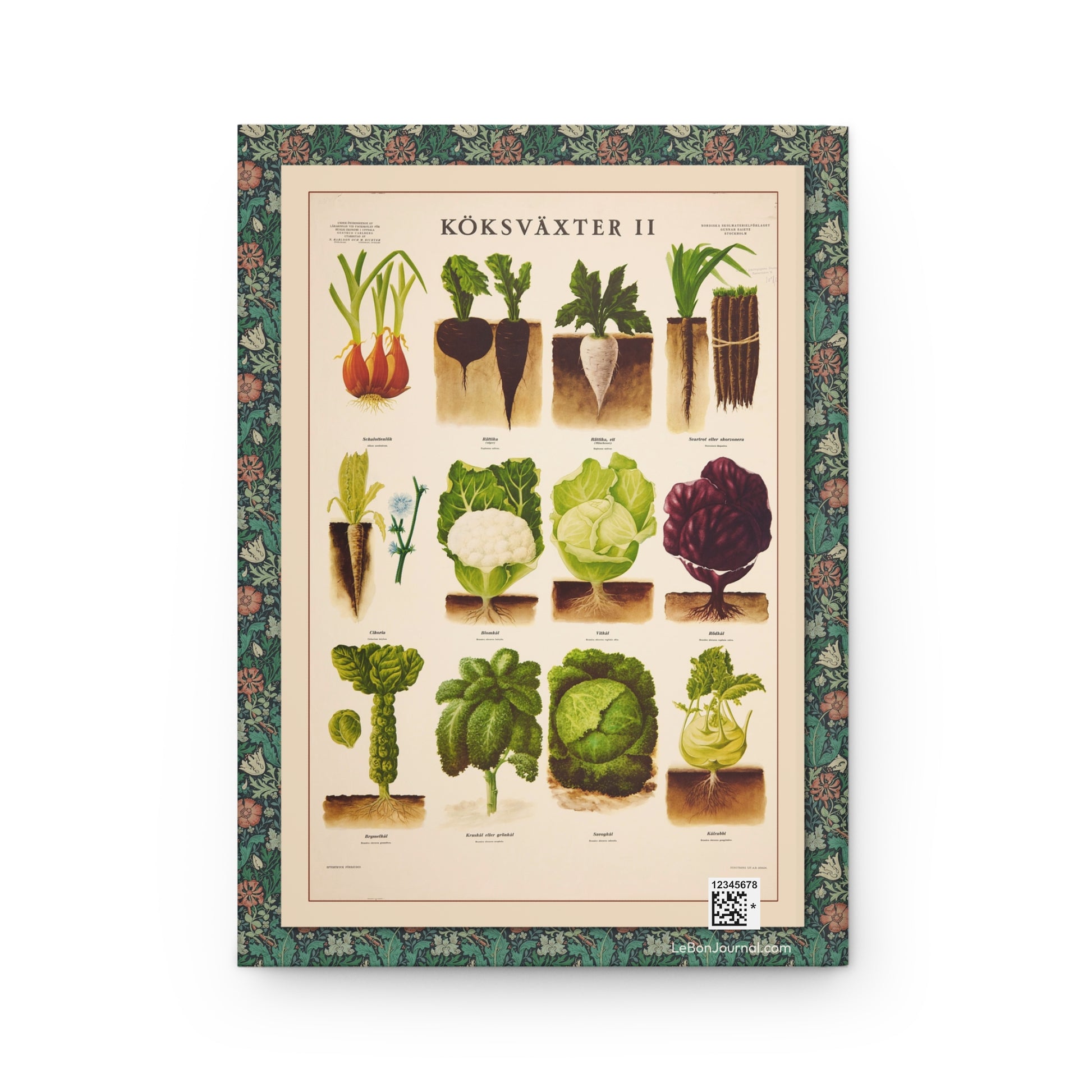 Köksväxter II back cover by Max Richter 1936 showing Brassicaceae family vegetables cauliflower cabbage Brussels sprouts kale and kohlrabi from Norstedt Stockholm - LeBonJournal