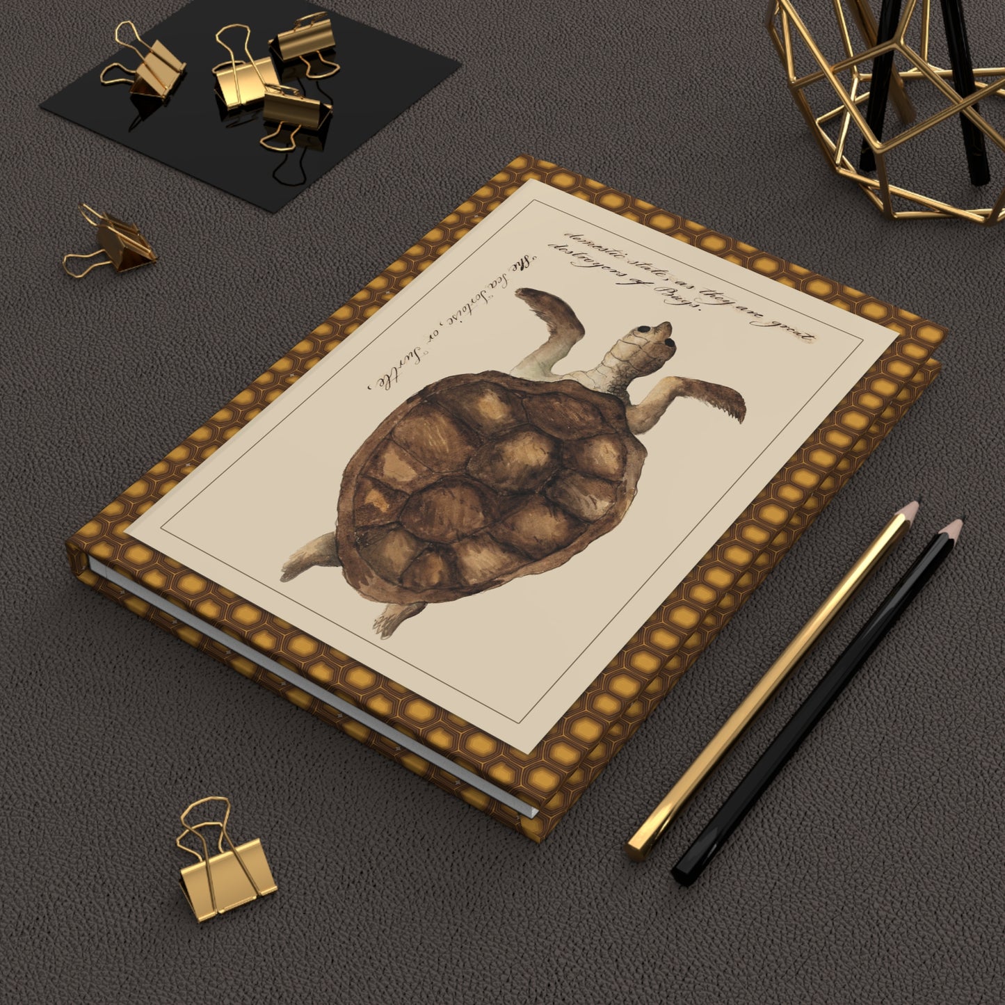 Kenelm Henry Digby 1810-1819 sea and land tortoises journal on workspace celebrating natural history watercolor art - LeBonJournal