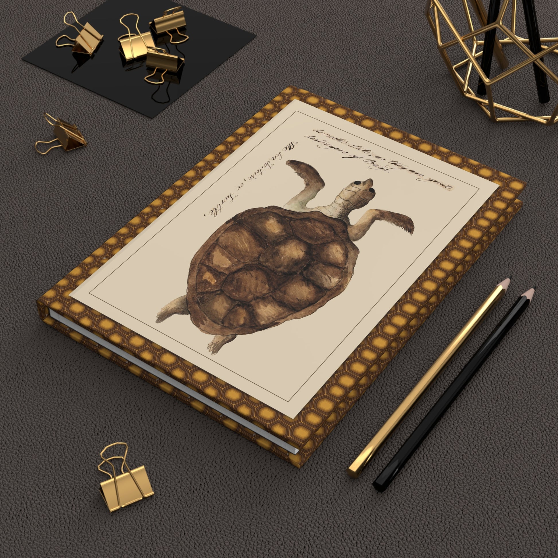Kenelm Henry Digby 1810-1819 sea and land tortoises journal on workspace celebrating natural history watercolor art - LeBonJournal