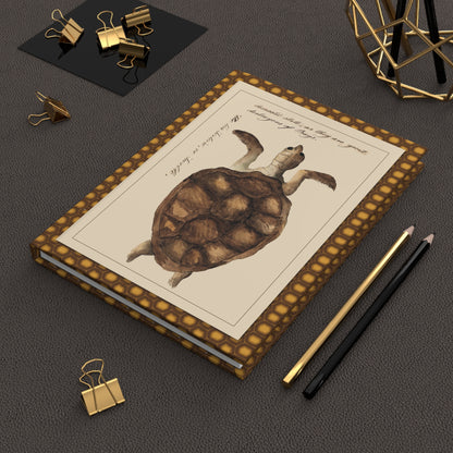 Kenelm Henry Digby 1810-1819 sea and land tortoises journal on workspace celebrating natural history watercolor art - LeBonJournal