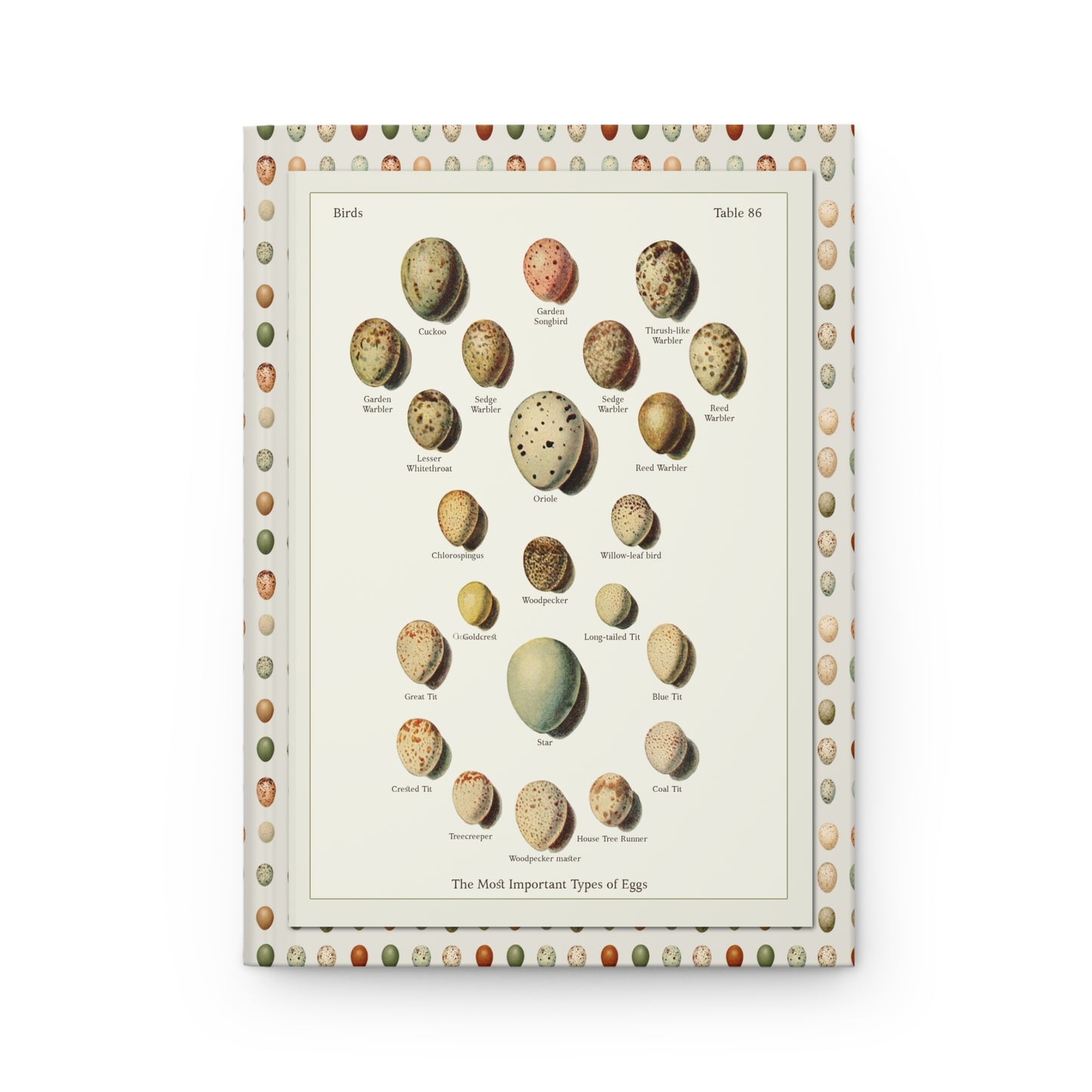 Kleinschmidt 1921 front cover oology plate Cuckoo Oriole Goldcrest Starling Tit family songbird eggs - LeBonJournal
