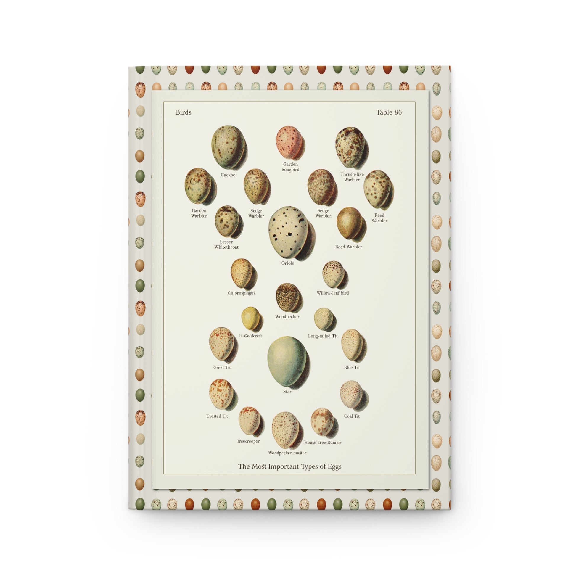 Kleinschmidt 1921 front cover oology plate Cuckoo Oriole Goldcrest Starling Tit family songbird eggs - LeBonJournal
