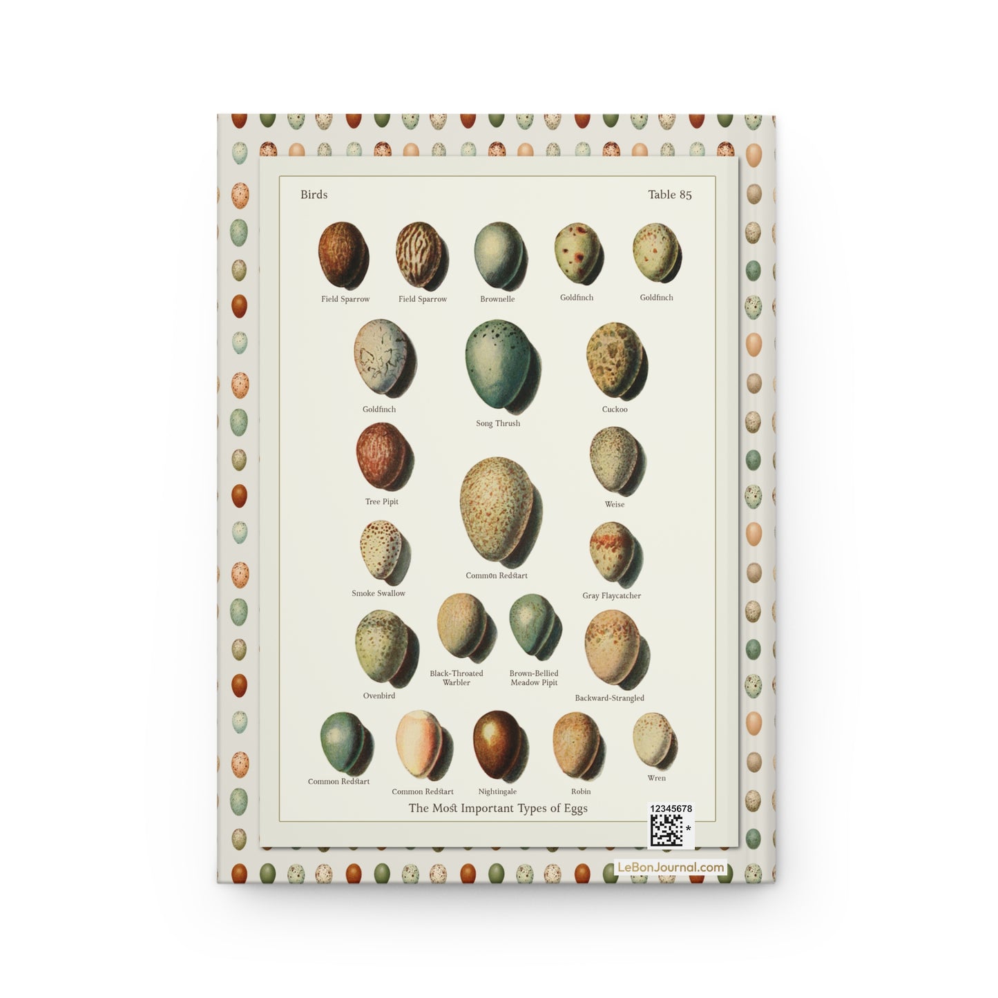 Kleinschmidt Table 85 back cover Field Sparrow Goldfinch Redstart Nightingale Robin Wren songbird eggs - LeBonJournal
