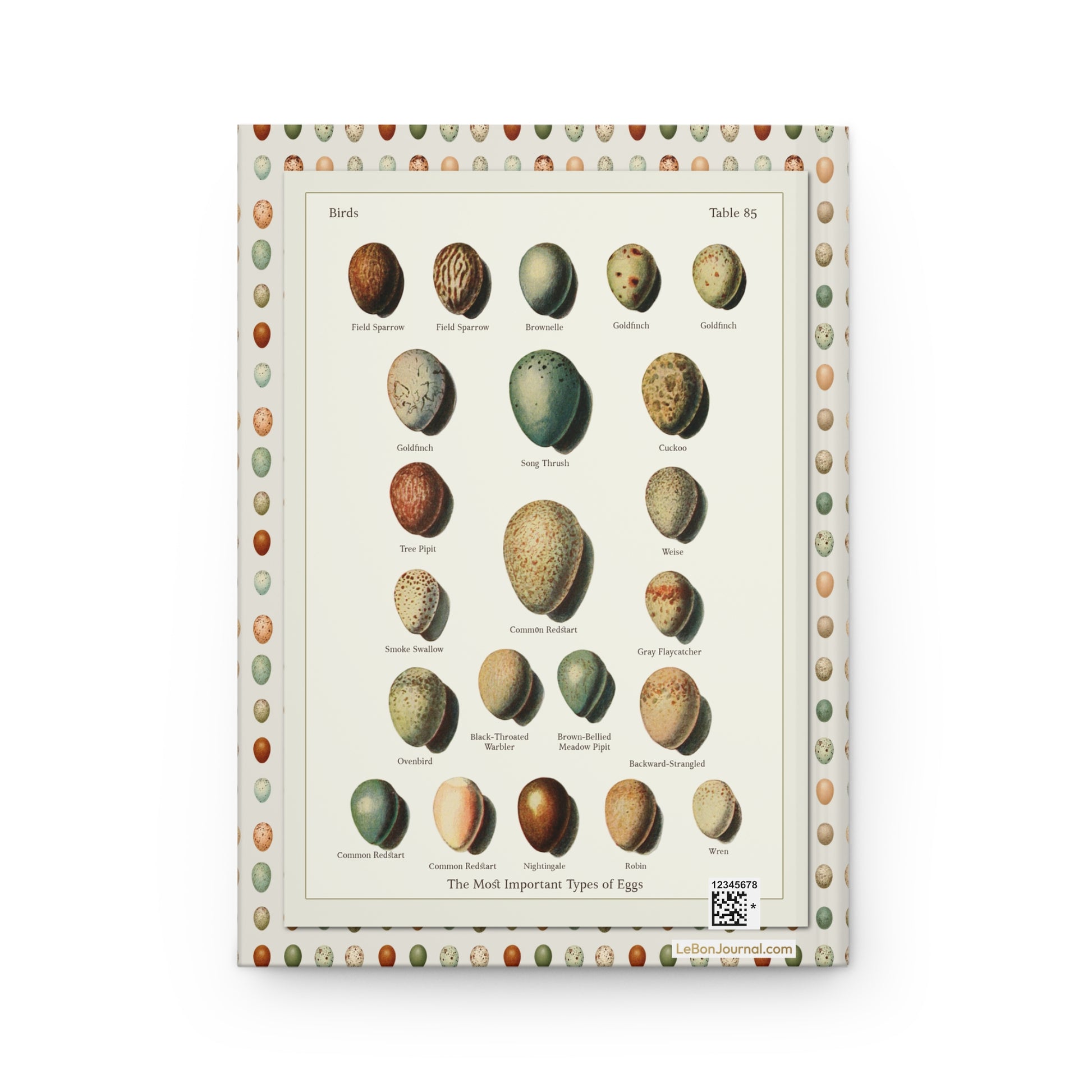 Kleinschmidt Table 85 back cover Field Sparrow Goldfinch Redstart Nightingale Robin Wren songbird eggs - LeBonJournal
